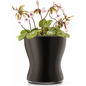 Skleněný samozavlažovací květináč na bylinky, černá 13cm, 568255