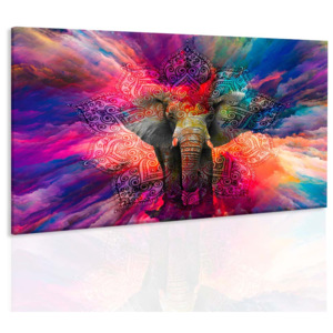 Obraz slon štěstí (90x60 cm) - InSmile ®
