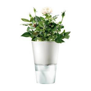 Samozavlažovací květináč na bylinky, křídově bílá 13cm, 568103 eva solo