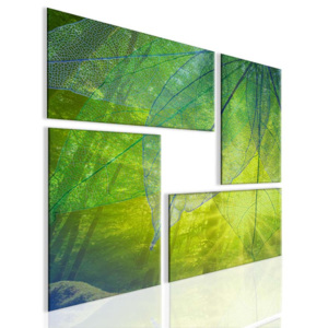 Obraz atypický obraz les (80x80 cm) - InSmile ®