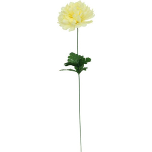 Chryzantéma jednohlavá, krémová barva. LS046-CREAM Art