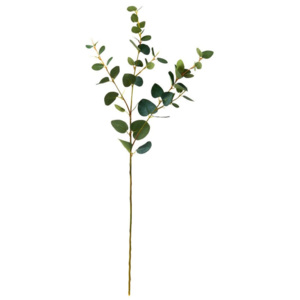 FLORISTA Eukalypt větvička - zelená