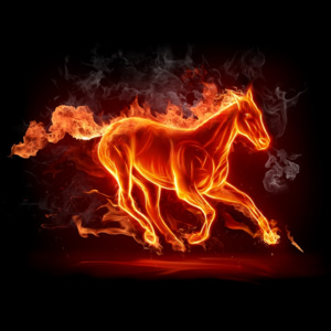 Plakát - Ohnivý kůň (Rozměr: vlastní)