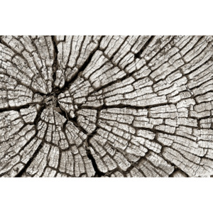 Plakát - Dřevo (Rozměr: 90x60 cm)