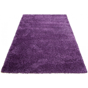 Exkluzivní kusový koberec SHAGGY SKANDY-H HM0070-140x190 cm