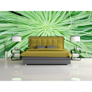 Tapeta - Zelená květina (Rozměr: 126x100 cm)