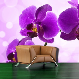 Tapeta - Fialová orchidea (Rozměr: 126x78 cm)