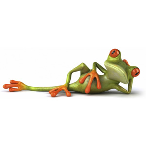 Plakát - Žába (Rozměr: 60x27 cm)
