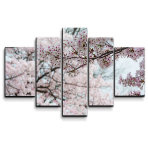 5- dílný obraz 135x90 - Květy třešně
