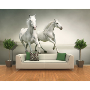 Tapeta - Splašení koně (Rozměr: 193x126 cm)