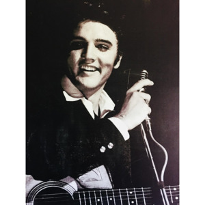 Dejtonazed Obraz Elvis Presley s kytarou a mikrofonem (černobílý), 70×50 cm
