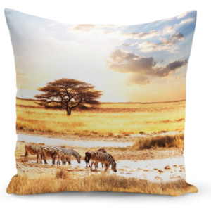 Polštář - Safari v africe (Rozměr: 50x50 cm)