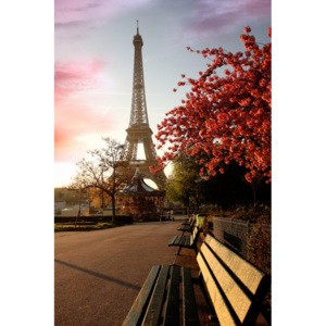 Plakát - Podzimní Paříž (Rozměr: 60x90 cm)