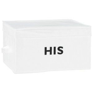 Skladovací box Timelife HIS 45x35cm bílý
