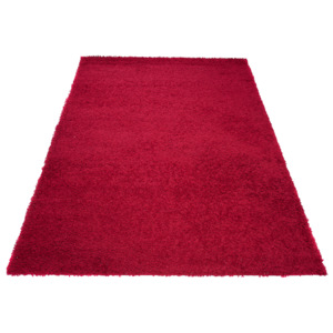 Exkluzivní kusový koberec SHAGGY PORTE P0210-60x100 cm