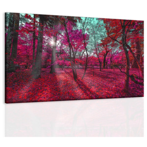 Obraz červený park (120x80 cm) - InSmile ®