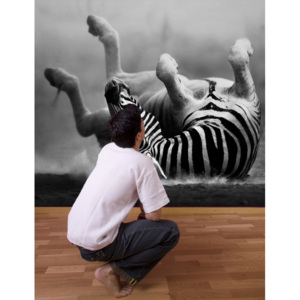 Tapeta - Zebra na zádech (Rozměr: 126x82 cm)