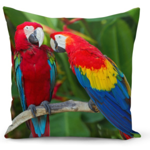 Polštář - Papoušek Ara (Rozměr: 50x50 cm)