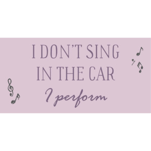 Magnetka I don't sing in the car I perform