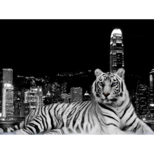 Plakát - Městský tygr (Rozměr: vlastní)