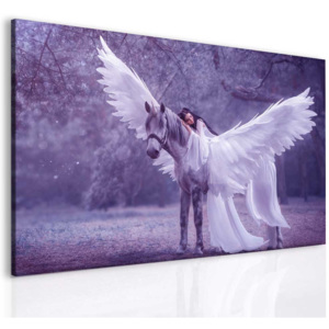 Fantasy pegas a láska I (120x80 cm) - InSmile ®