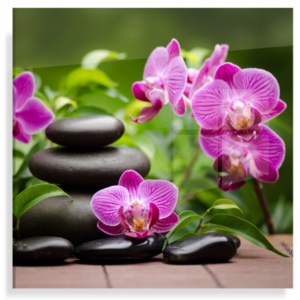 Skleněný obraz - Růžová orchidea s kameny (Typ: KLASIK - bez vyvrtaných děr)