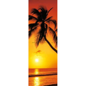 Plakát - Palm sunset