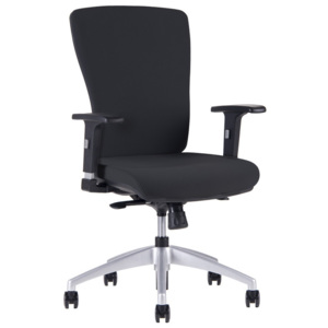 Kancelářská ergonomická židle Office Pro HALIA BP – bez podhlavníku, více barev Černá