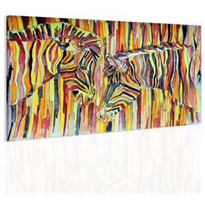 Obraz barevné zebry (120x80 cm) - InSmile ®