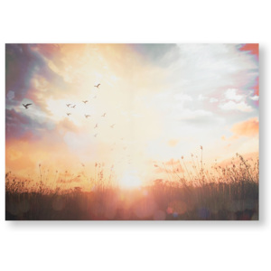Tištěný obraz 105890, Serene Sunset Meadow, Graham & Brown