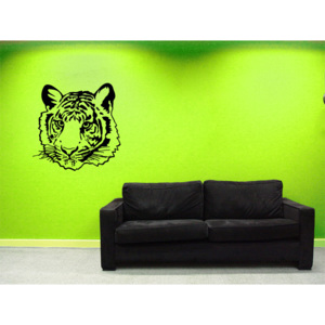 Tygr - samolepka na zeď
