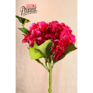 Paramit Aranžovací květina hortenzie sytě růžová