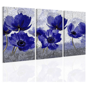 Obraz fialové máky (150x100 cm) - InSmile ®