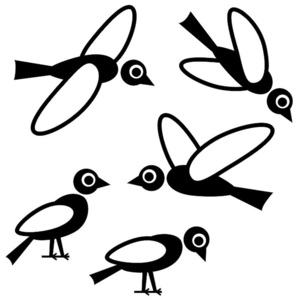 Ptáci - samolepky na okno