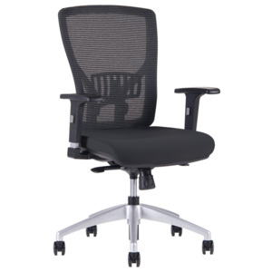 Kancelářská židle na kolečkách Office Pro HALIA MESH BP – s područkami Černá