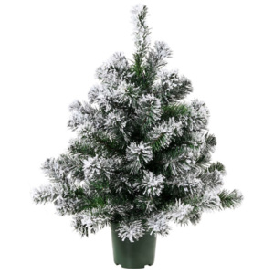 TREE OF THE MONTH Vánoční stromek zasněžený 90 cm - zelená