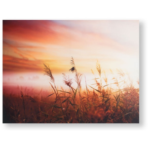 Tištěný obraz 105888, Morning Sunrise Meadow, Graham & Brown