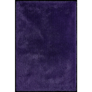 Obsession koberce Kusový koberec Sanzee (Sansibar) 650 PURPLE - 160x230 Expres