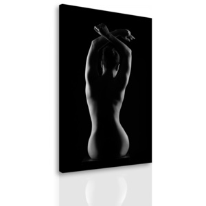 Obraz krása těla (120x80 cm) - InSmile ®