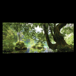 Obraz na plátně: Lesní tůně - 145x45 cm