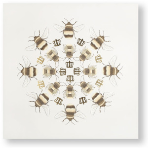 Bezrámový obraz 105872, Beautiful Bees, Graham & Brown