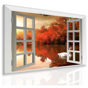 Obraz Labuť za oknem (80x60 cm) - InSmile ®