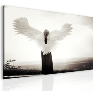 InSmile Obraz anděl 90x60 cm