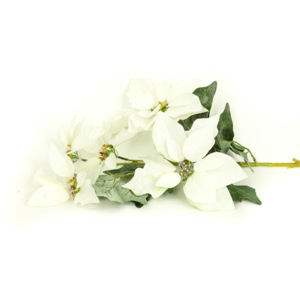 Vánoční růže, poinsécie 5 květů , umělá květina , bílá zasněžená - VK-1236