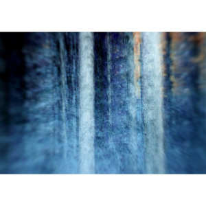Fototapeta, Tapeta The Forest, (416 x 290 cm)