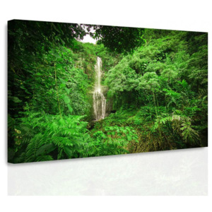 InSmile Obraz - Lesní vodopád 60x40 cm
