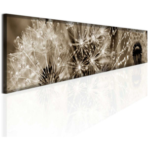 Panoramatický obraz rosa (180x30 cm) - InSmile ®