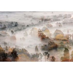 Fototapeta, Tapeta Autumn Colours In The Fog, (368 x 254 cm)