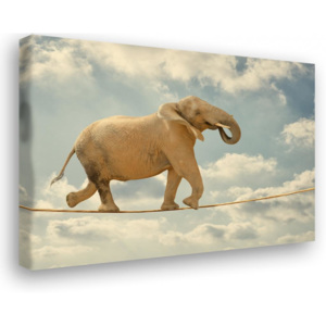 InSmile Obraz na plátně - tančící slon 60x60 cm