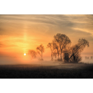 Fototapeta, Tapeta Misty Sunset, (104 x 70.5 cm)
